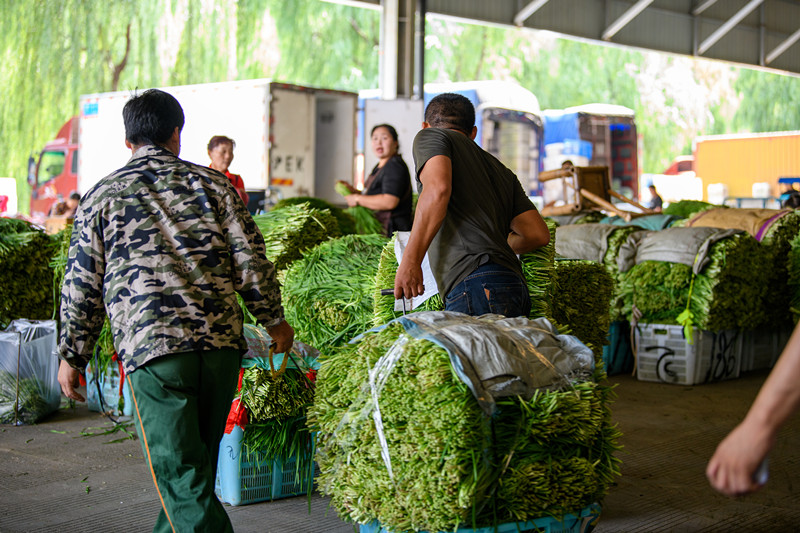 1601446222369748.jpg 1601446222369748.jpg