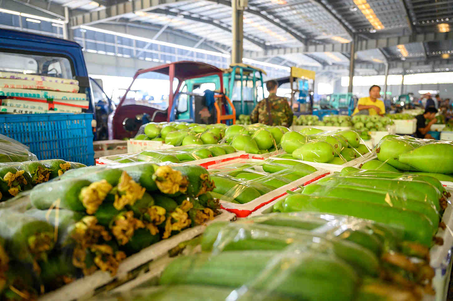 1633655278354747.jpg 1633655278354747.jpg