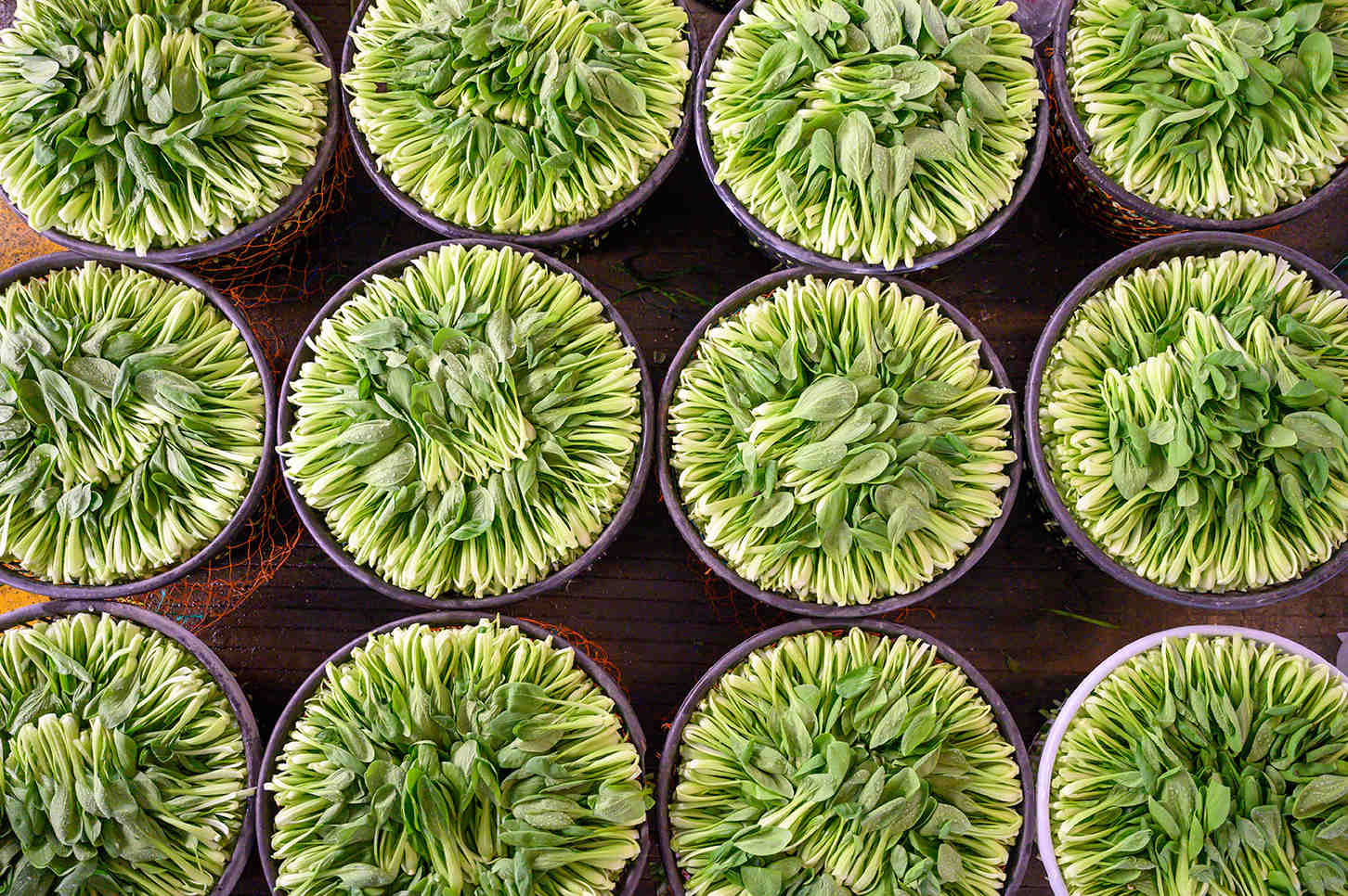 1633655300366587.jpg 1633655300366587.jpg