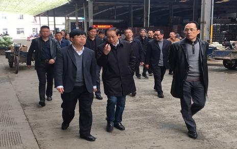 2017年3月16日下午，嘉興市委常委、常務副市長樓建明帶領市級相關部門負責人視察嘉興蔬菜批發(fā)市場
