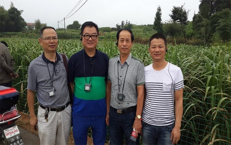 2014年8月，中國蔬菜流通協(xié)會會長戴中久與公司、市場領導一起考察蔬菜基地