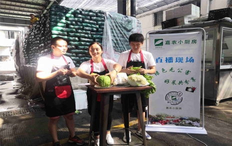 創(chuàng)意直播帶貨,本期專欄：蘭州高原夏菜！