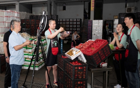 人間煙火氣，最撫凡人心  ---“嘉昕小廚房”本期主角：番茄！